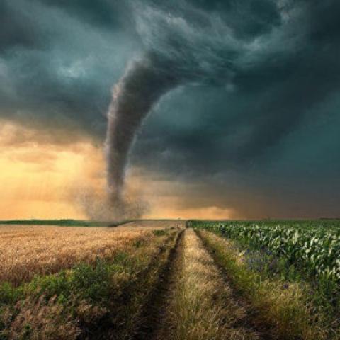 Порно жопа және сик