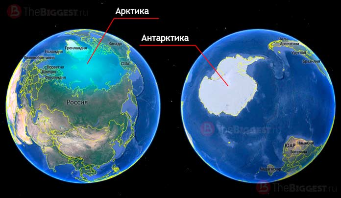 Арктика и антарктида в чем разница