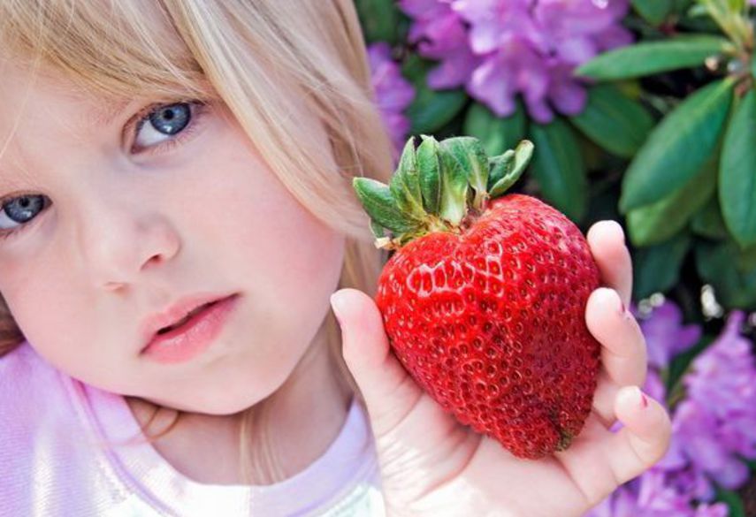 Лицом ягодка. Клубника для детей. Земляника для детей. Ребенок ест клубнику. Девочка с ягодами.