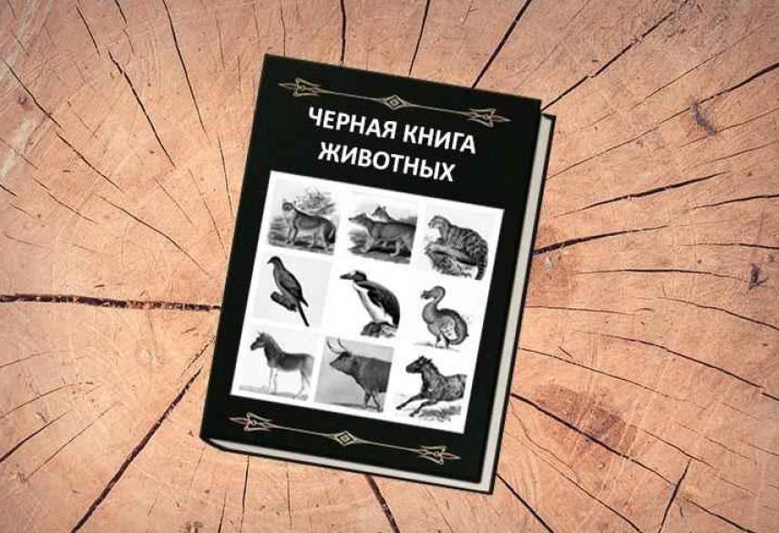 История черной книги