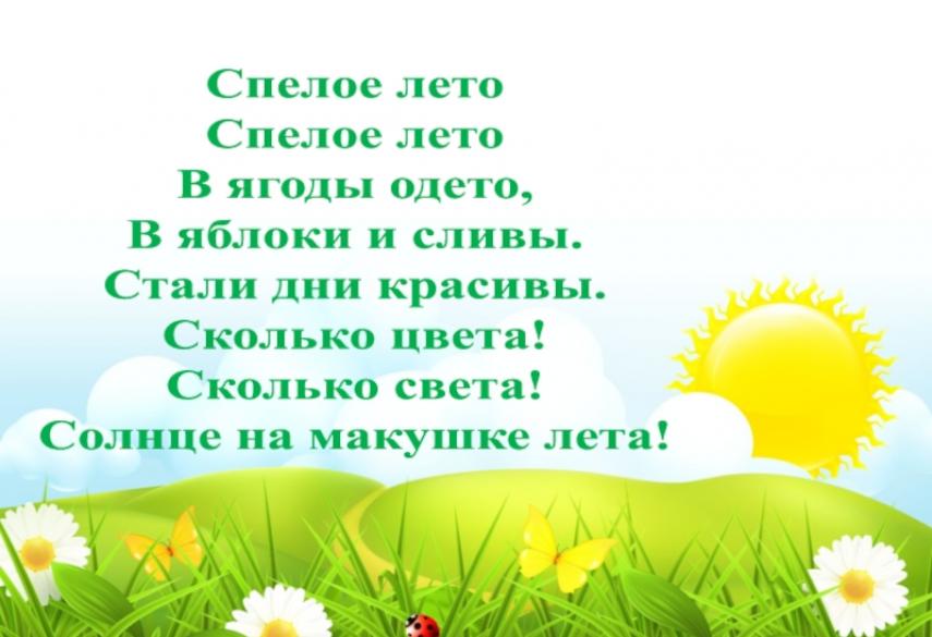 Наше лето текст. Спелое лето в ягоды одето. Спелое лето стих. Вот оно какое наше лето картинка из мультика. Комплект спелое лето.